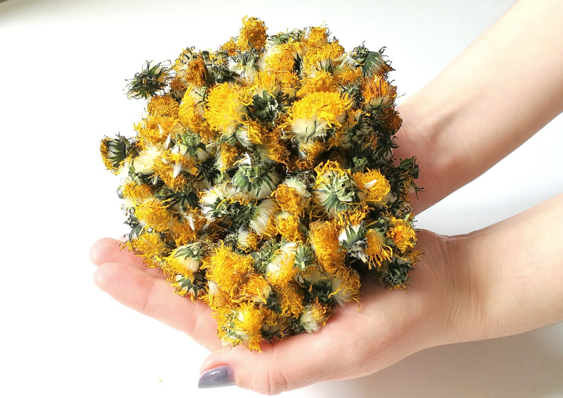 Himalayan Dried Dandelion Flowers - Taraxacum officinale