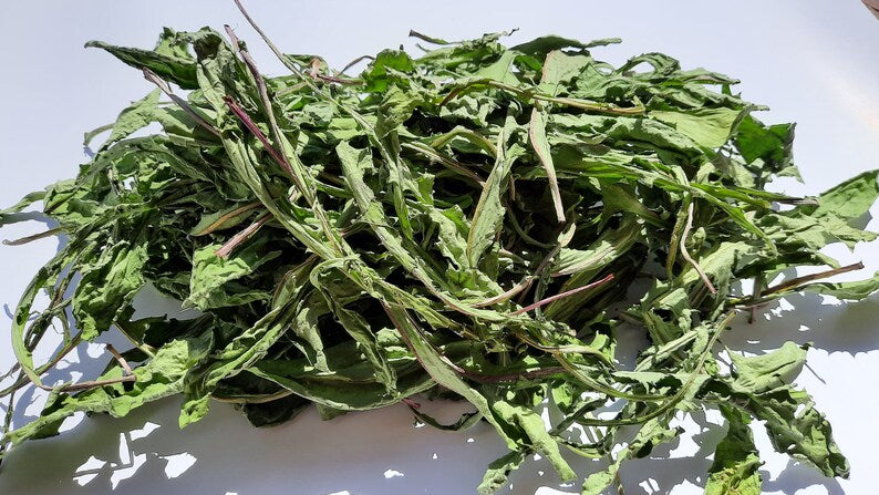 Dried Dandelion Leaf, Organic Dandelion Leaf | Taraxacum officinale