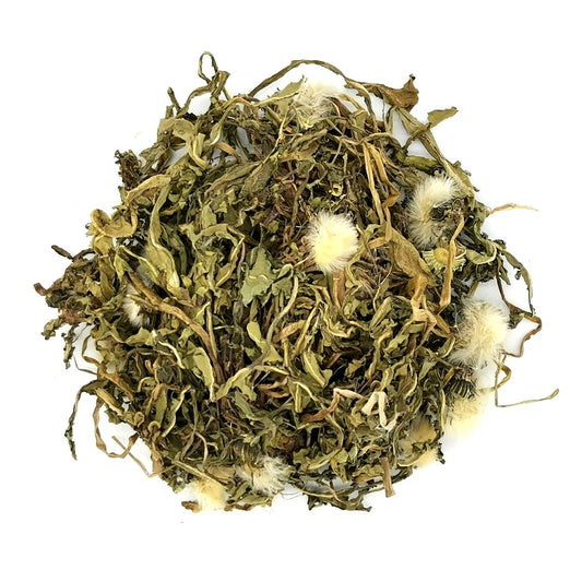 Dried Dandelion Leaf, Organic Dandelion Leaf | Taraxacum officinale