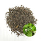 Dried Bhringraj leaves (Eclipta prostrata) with fresh plant inset showing white flowers and green leaves