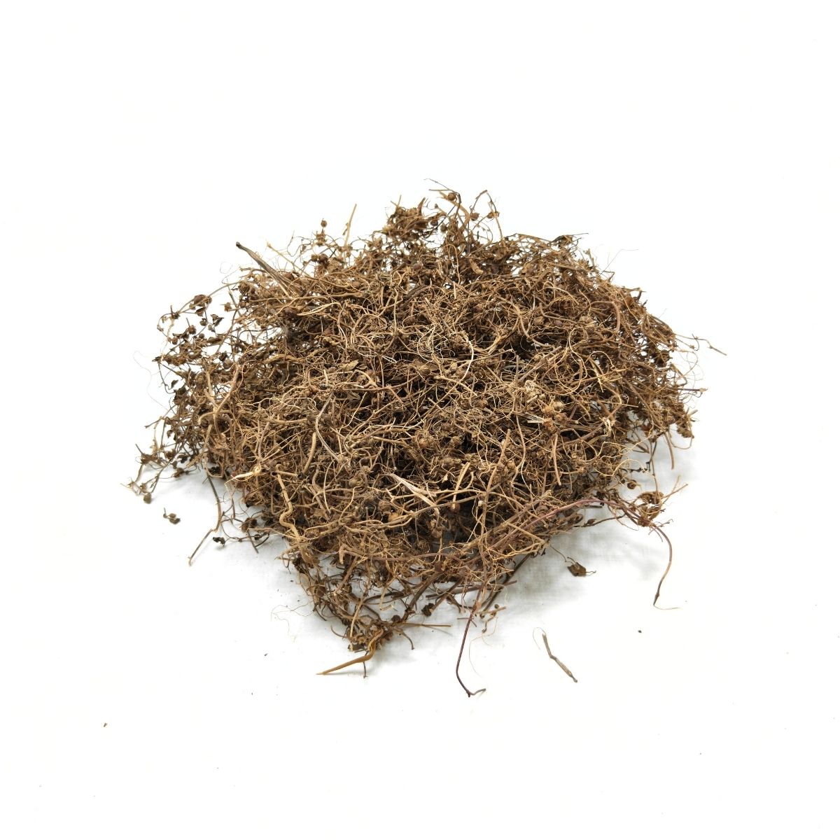 Natural dried Jal Brahmi (Bacopa monnieri) roots used in Ayurvedic hair and wellness care