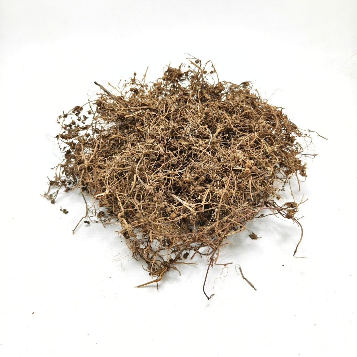 Pile of dried Jal Brahmi (Bacopa monnieri) herb for Ayurvedic and hair care use
