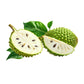 Organic  Soursop Leaves – Natural Antioxidant-Rich Herbal Tea