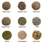 100g-100g Dried Herbs Combo |  Combination for Herbs Rama, Shyama and Vana tulsi , Peppermint, Spearmint, Mint,  Stevia Lemongrass & Centella Gotu kola herbs