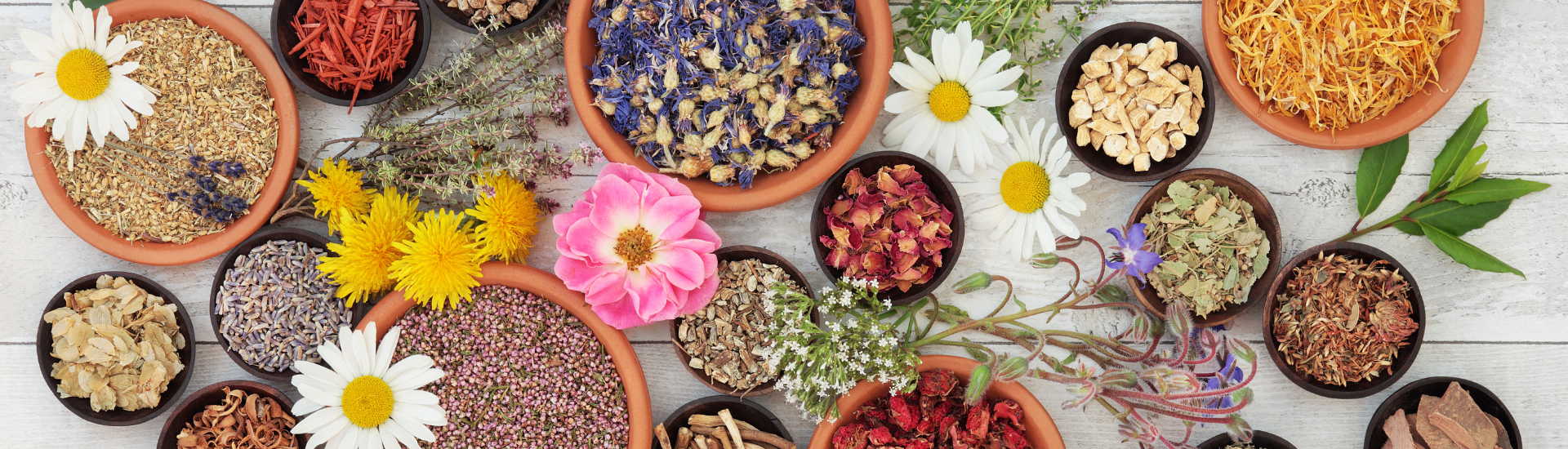 Premium dried flowers, herbs, spices, and botanicals by Ikon Aromatics and Herbs – wholesale supplier in India.