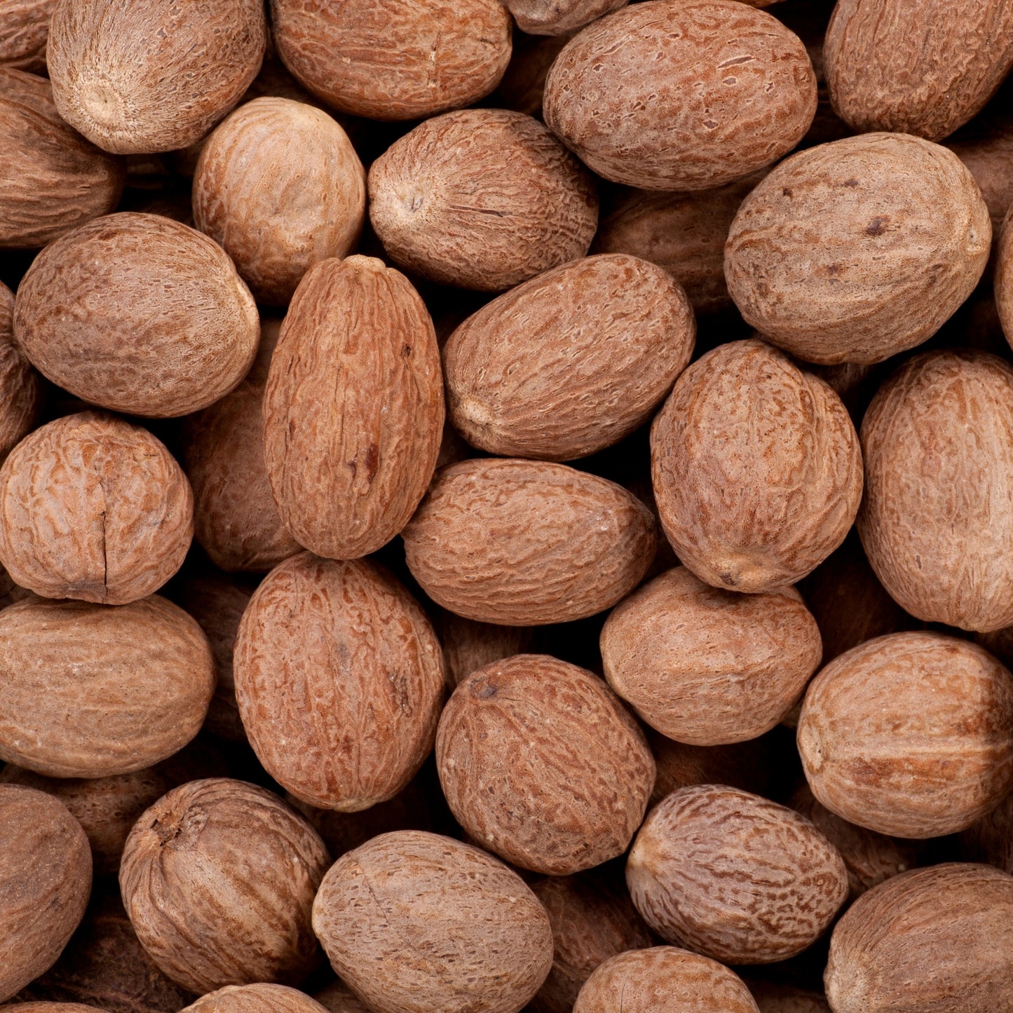 Nutmeg Powder – Jayfal - jaiphal powder - Pure & Aromatic Spice | Premium Quality