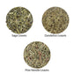 100-100gram Himalayan Herbs Combo  3 Herbs 100gram each