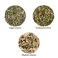 100-100gram Himalayan Herbs Combo  3 Herbs 100gram each