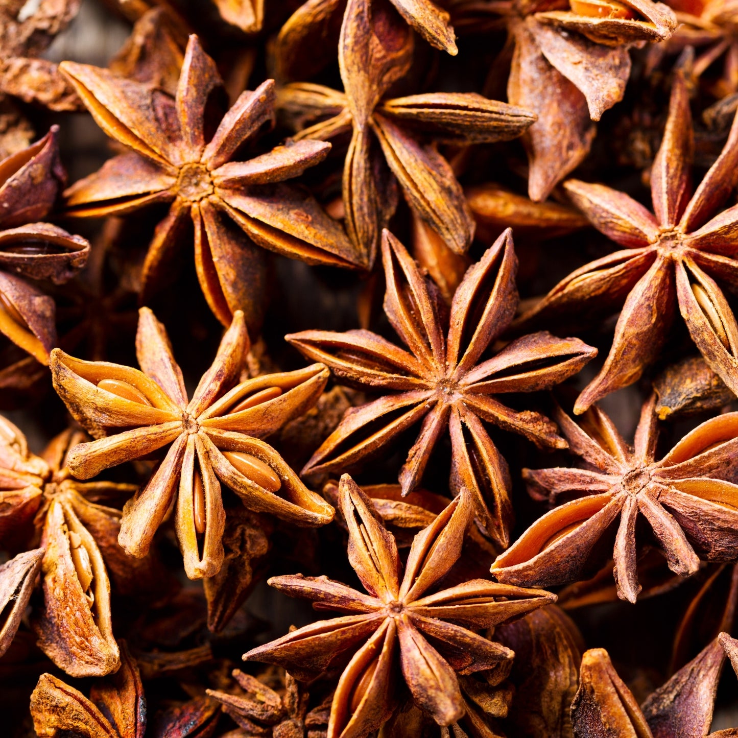 Whole Star Anise (Chakkar Phool) – Aromatic Spice for Cooking & Tea | Star Anise Pods – Premium Whole Spice | Strong Aroma & Flavor