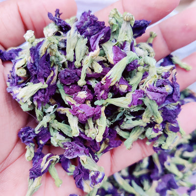 Butterfly Pea Flower (Dried) - Aprajita Phool - Shankhpushpi Flower - Clitoria Ternatea