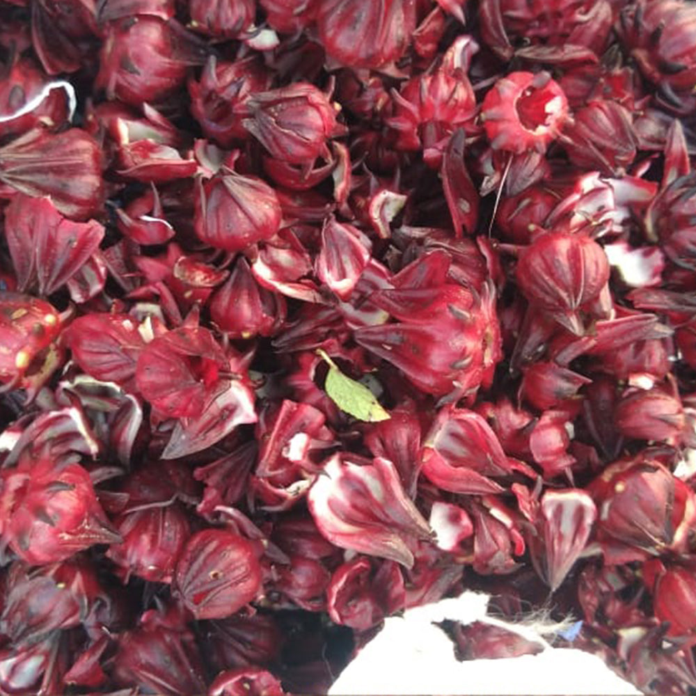 Hibiscus Flower (Dried) - Hibiscus sabdariffa - Gudhal Phool, Roselle Tea Flower