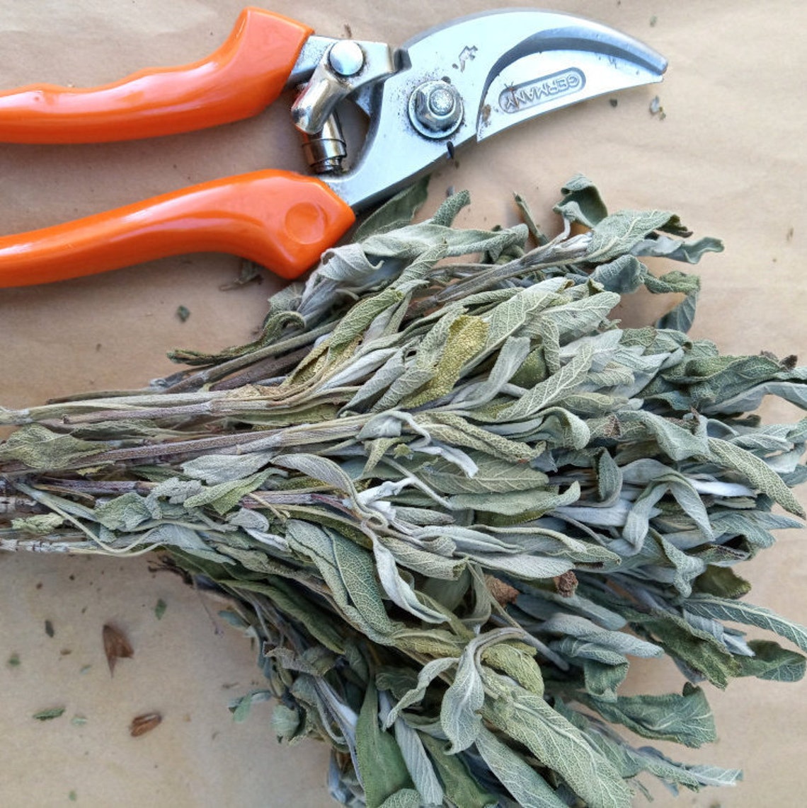 Dried Sage Loose Leaves Herbal Tea | Salvia Triloba