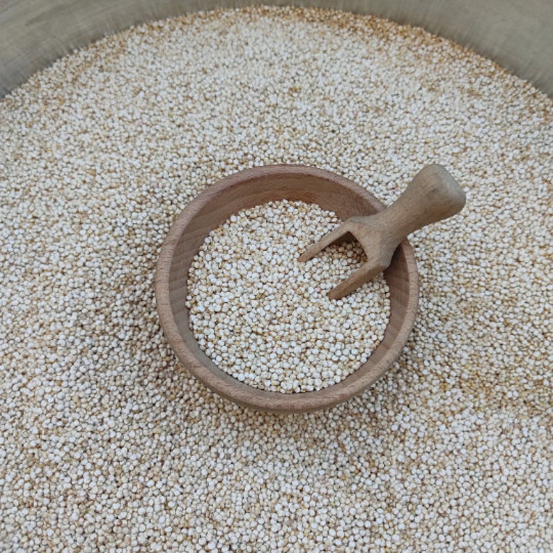 White Quinoa Seeds - Chenopodium Quinoa - Superfood With High Protein 100% Natural (Gluten free)