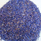 Dried Blue cornflower - Centaurea cyanus - Bachelor's button
