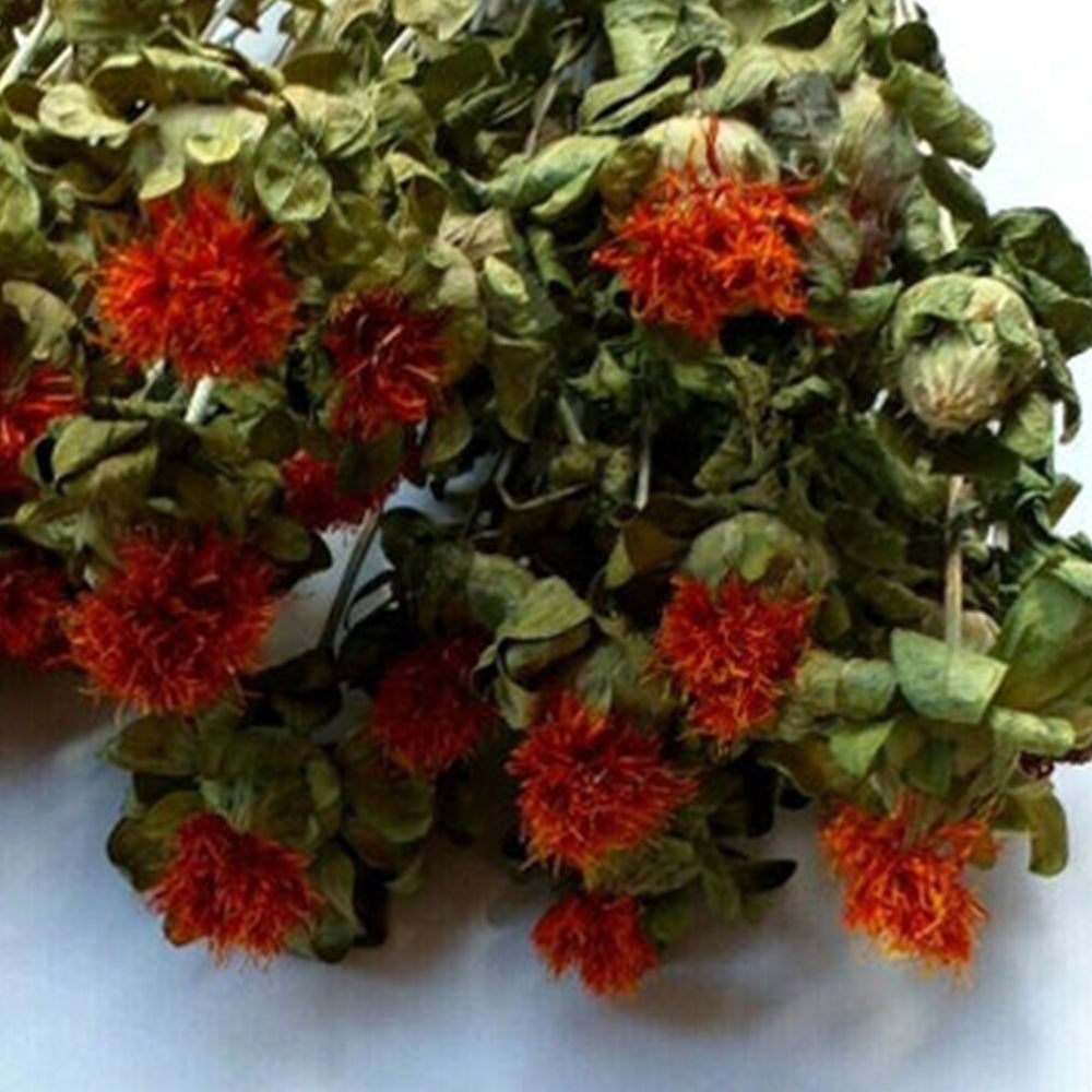 Safflower - Kusum Flower - Phool Kusum - Saf Flower - Carthamus tincto ...