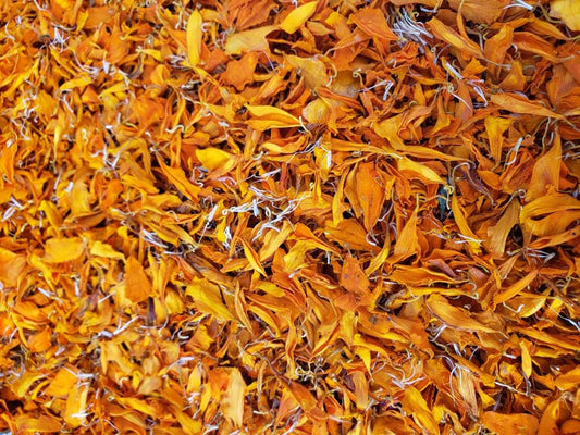 Dried Orange Marigold Flowers Petals | Tagetes Erecta | Marigold Tea | Dried Marigold Flowers Petals