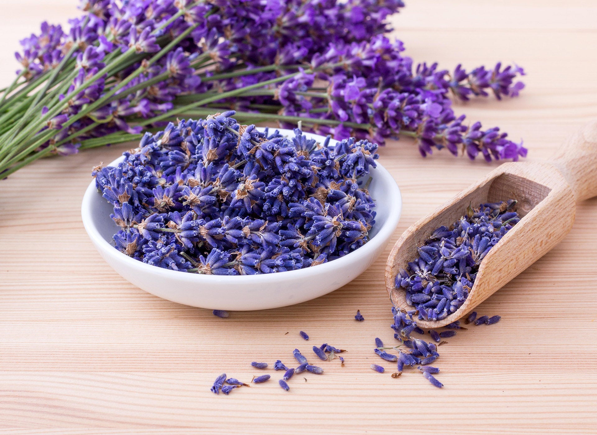 lavender flower in india Indian Kashmiri Lavender Flowers , Dried Lavender Buds, wholesale (Lavandula angustifolia)