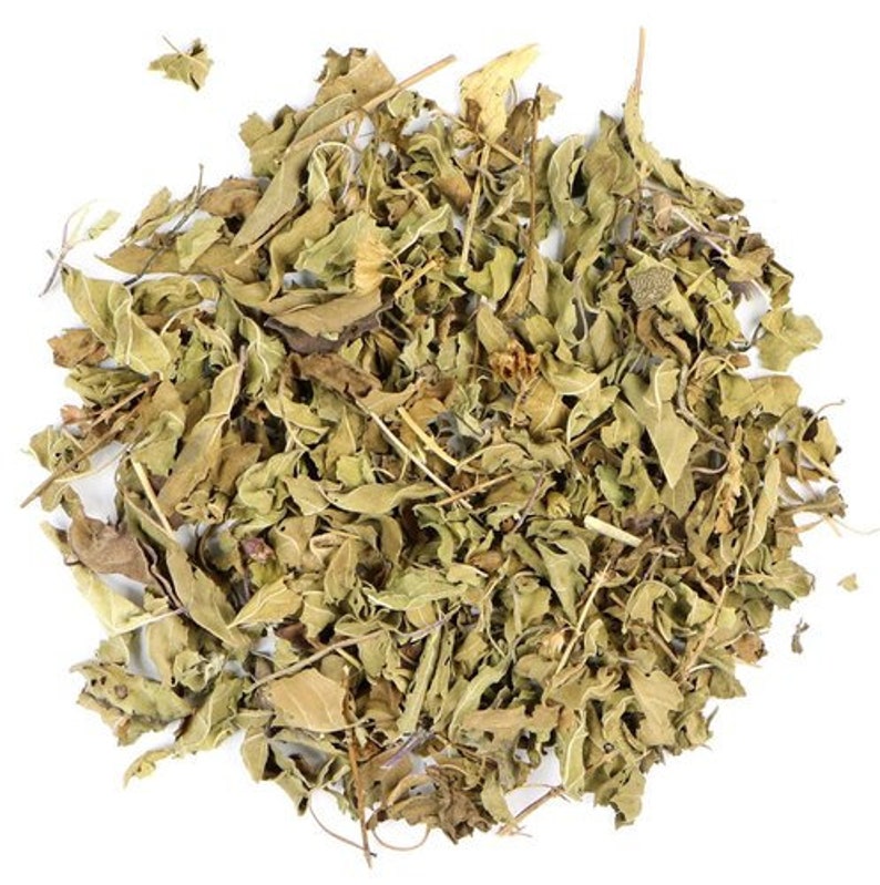 100 Natural Holy Basil Leaves Tulsi Herbal Tea leaves Rama Common Basil Shyama Krishna Vana Wild Verity